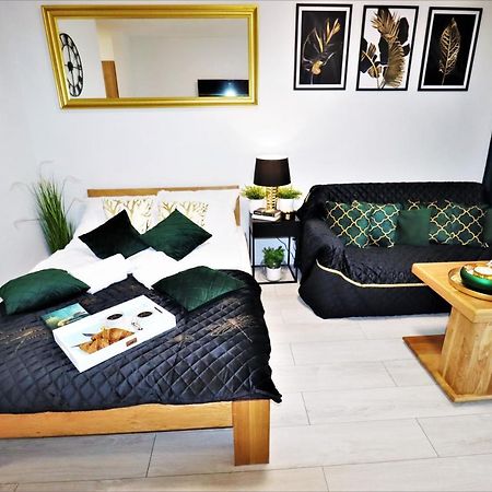 Apartment Mit Blick Auf Den Park - Apartament Mariw Matejki 17 Z Widokiem Na Park 슈비노우이스쳬 외부 사진