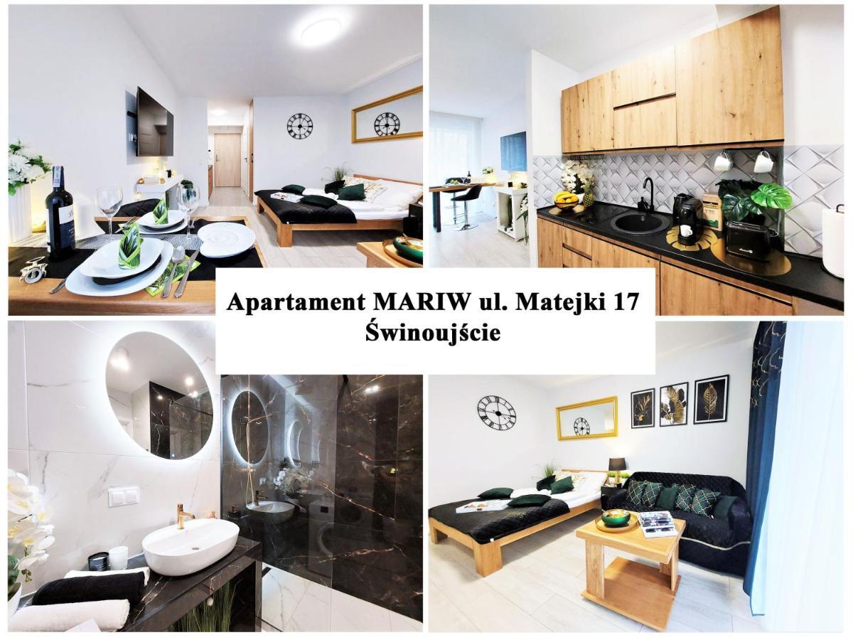 Apartment Mit Blick Auf Den Park - Apartament Mariw Matejki 17 Z Widokiem Na Park 슈비노우이스쳬 외부 사진