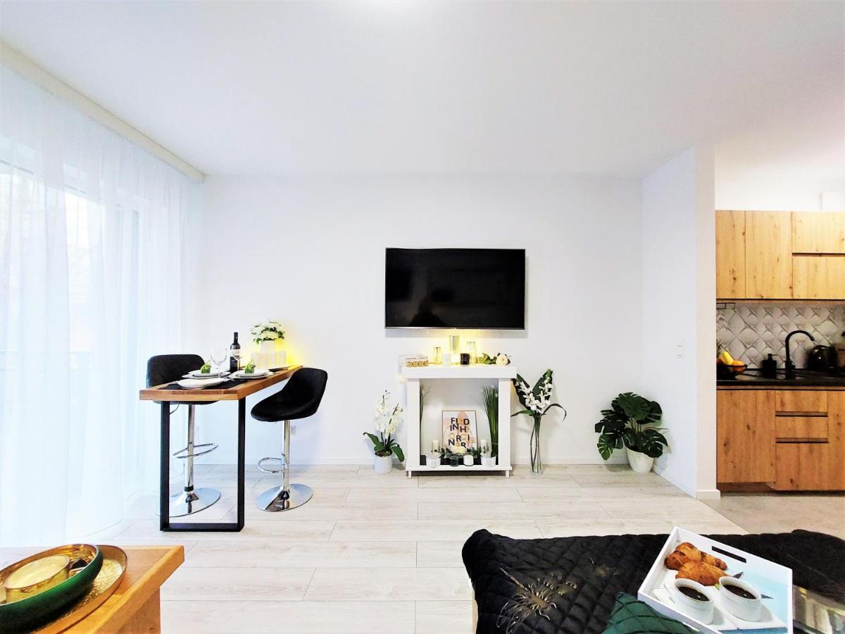 Apartment Mit Blick Auf Den Park - Apartament Mariw Matejki 17 Z Widokiem Na Park 슈비노우이스쳬 외부 사진