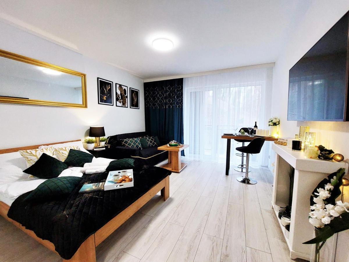 Apartment Mit Blick Auf Den Park - Apartament Mariw Matejki 17 Z Widokiem Na Park 슈비노우이스쳬 외부 사진