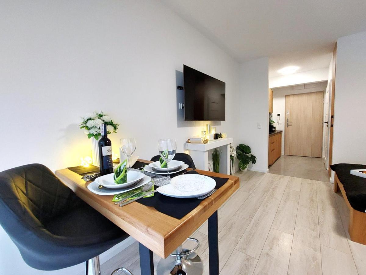 Apartment Mit Blick Auf Den Park - Apartament Mariw Matejki 17 Z Widokiem Na Park 슈비노우이스쳬 외부 사진