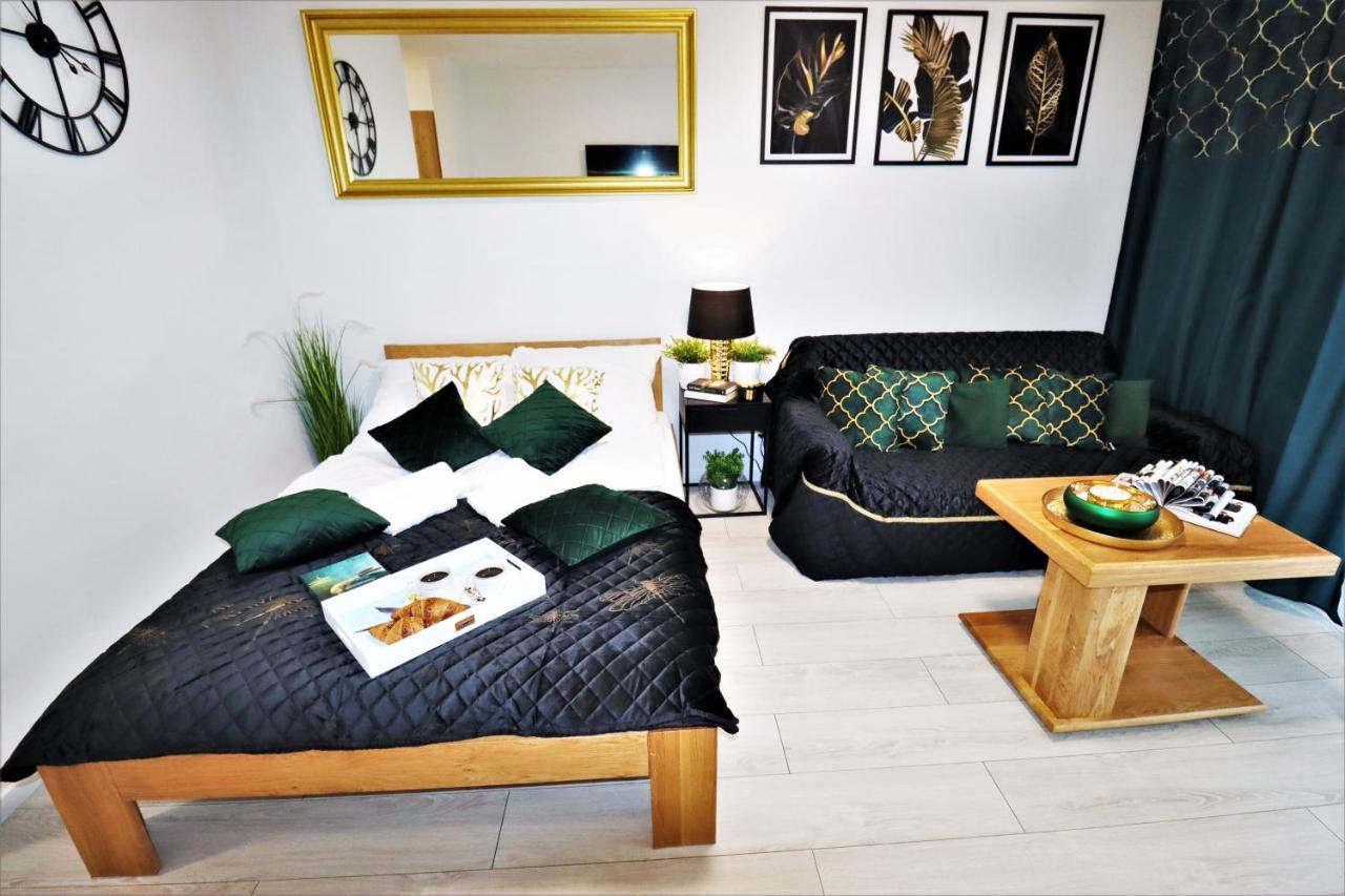 Apartment Mit Blick Auf Den Park - Apartament Mariw Matejki 17 Z Widokiem Na Park 슈비노우이스쳬 외부 사진