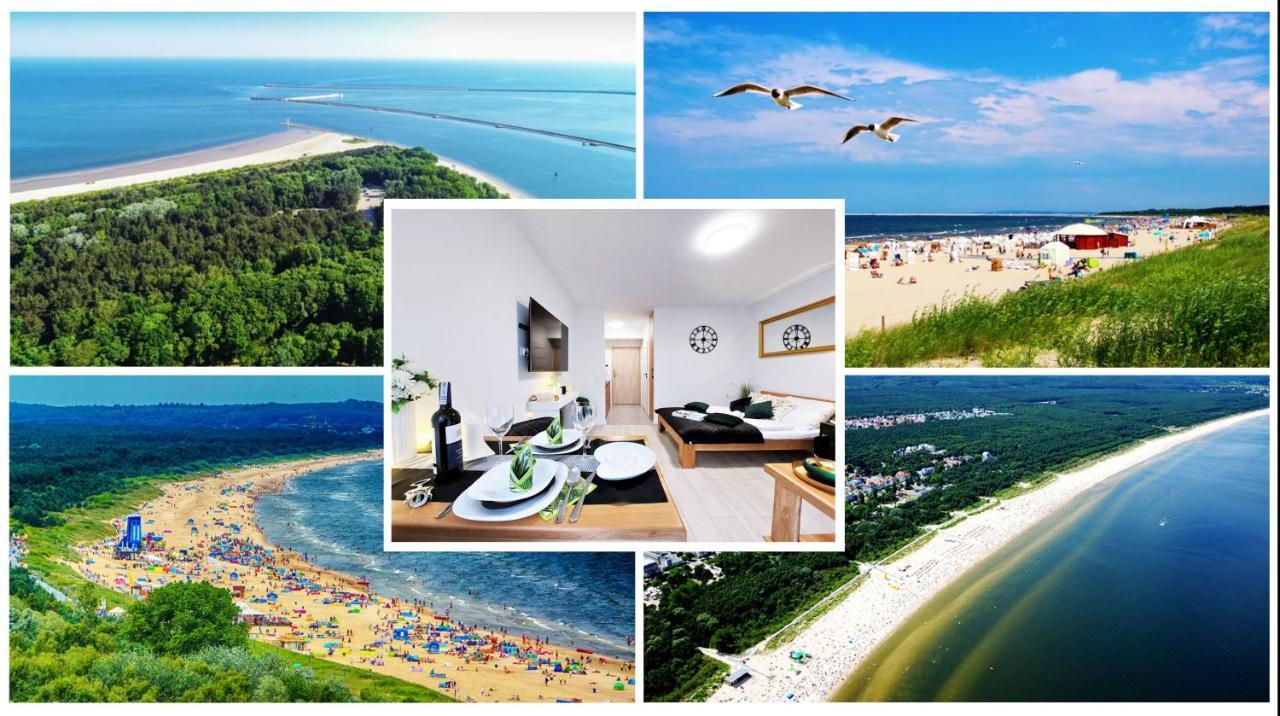 Apartment Mit Blick Auf Den Park - Apartament Mariw Matejki 17 Z Widokiem Na Park 슈비노우이스쳬 외부 사진