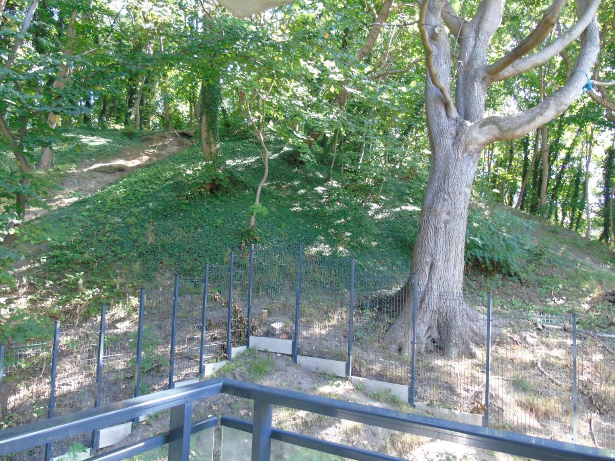Apartment Mit Blick Auf Den Park - Apartament Mariw Matejki 17 Z Widokiem Na Park 슈비노우이스쳬 외부 사진