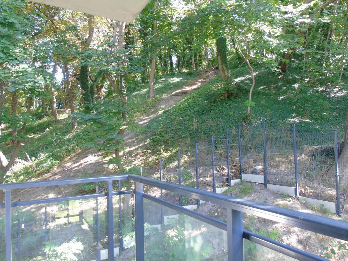 Apartment Mit Blick Auf Den Park - Apartament Mariw Matejki 17 Z Widokiem Na Park 슈비노우이스쳬 외부 사진